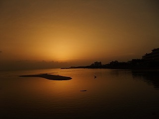 DSCF8423.jpg