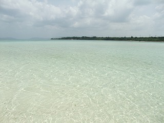 DSCF8553.jpg