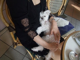 DSCF8761.jpg