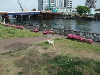 DSCF8781.jpg