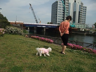 DSCF8789.jpg
