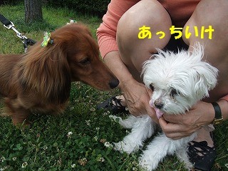 DSCF8828.jpg
