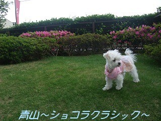 DSCF8836.jpg