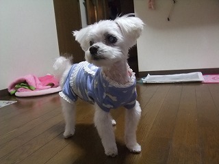 DSCF8894.jpg
