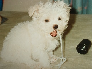 IMGP0602.jpg