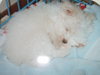 IMGP0612.jpg
