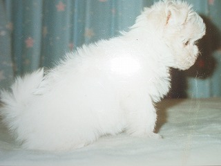 IMGP0628.jpg