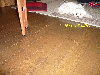 IMGP0716.jpg