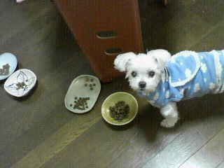 2010091814530000.jpg