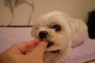 DSC00001.jpg