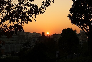 DSC00984.jpg