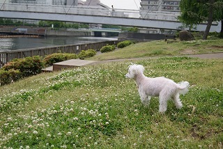 DSC01448.jpg