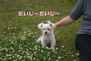 DSC01470.jpg