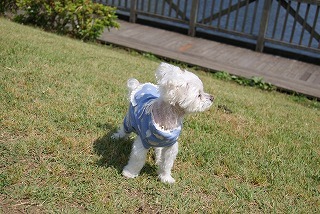 DSC01485.jpg