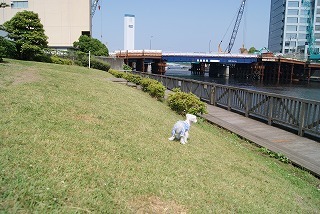 DSC01489.jpg
