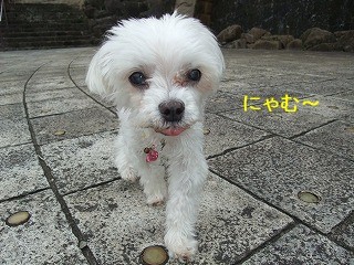 DSCF0023.jpg