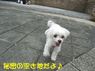 DSCF0029.jpg