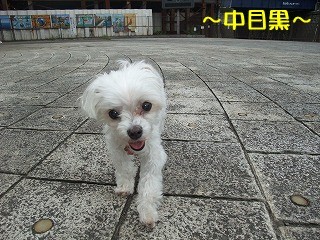 DSCF0030.jpg