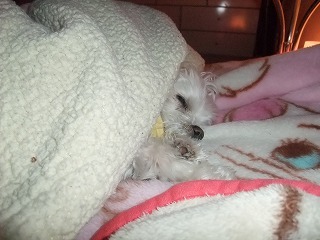 DSCF0166.jpg