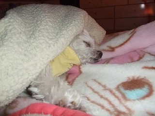 DSCF0167.jpg