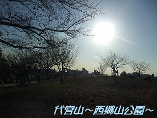 DSCF0192.jpg