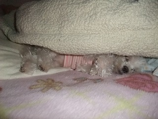 DSCF0244.jpg