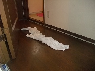 DSCF0337.jpg