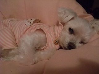 DSCF0371.jpg