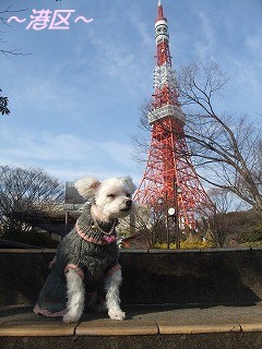DSCF0405.jpg