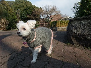 DSCF0410.jpg