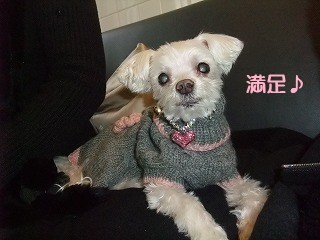DSCF0435.jpg