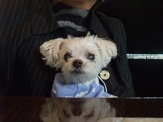 DSCF1002.jpg