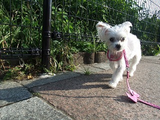 DSCF3008.jpg