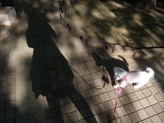 DSCF3011.jpg
