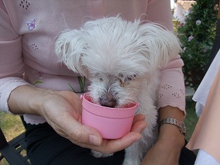 DSCF3026.jpg