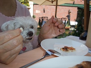 DSCF3029.jpg