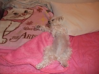 DSCF3111.jpg