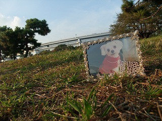 DSCF3142.jpg