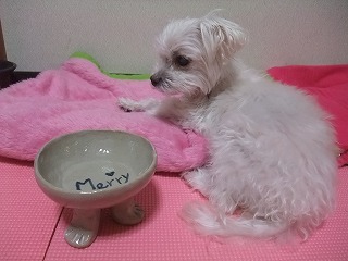 DSCF3184.jpg