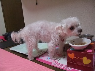 DSCF3195.jpg