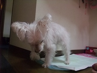 DSCF3421.jpg