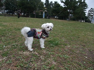 DSCF5195.jpg