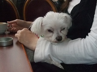 DSCF5215.jpg