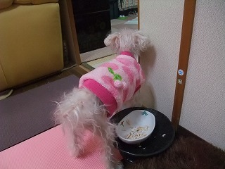 DSCF5301.jpg