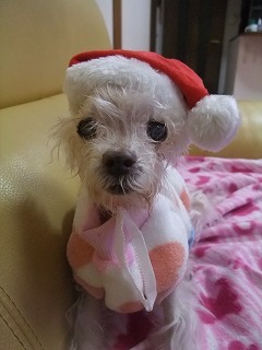 DSCF5348.jpg
