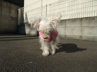 DSCF5418.jpg