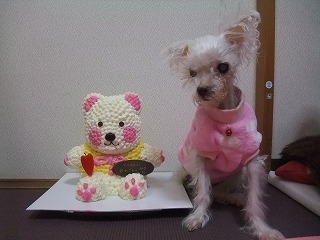 DSCF5709.jpg
