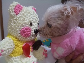 DSCF5713.jpg