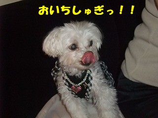 DSCF6335.jpg
