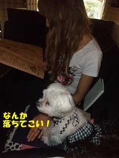 DSCF6338.jpg